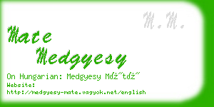 mate medgyesy business card